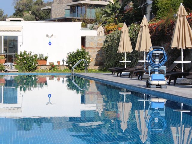 Avis sur les robots de piscine Dolphin Maytronics 2026