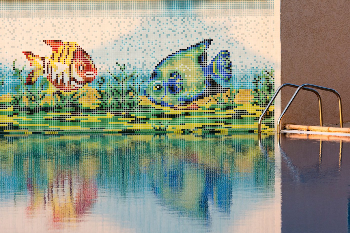 piscine miroir