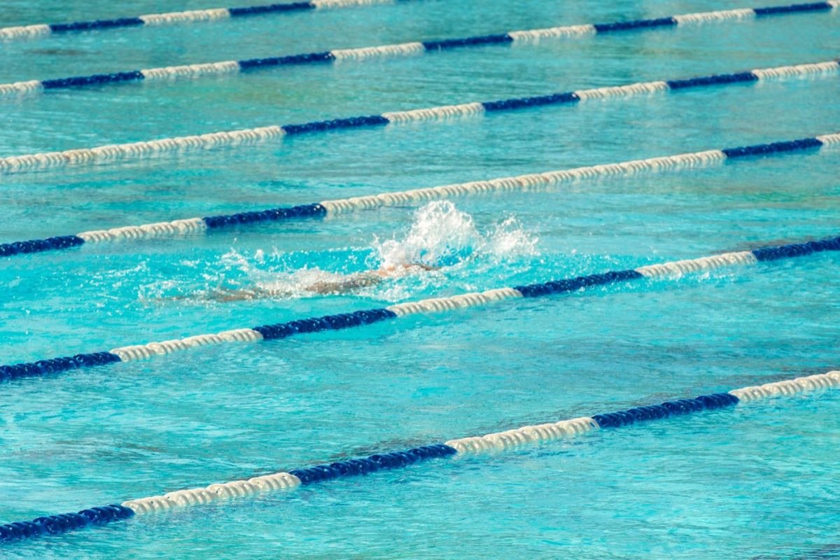 Eliminer les algues vertes de la piscine