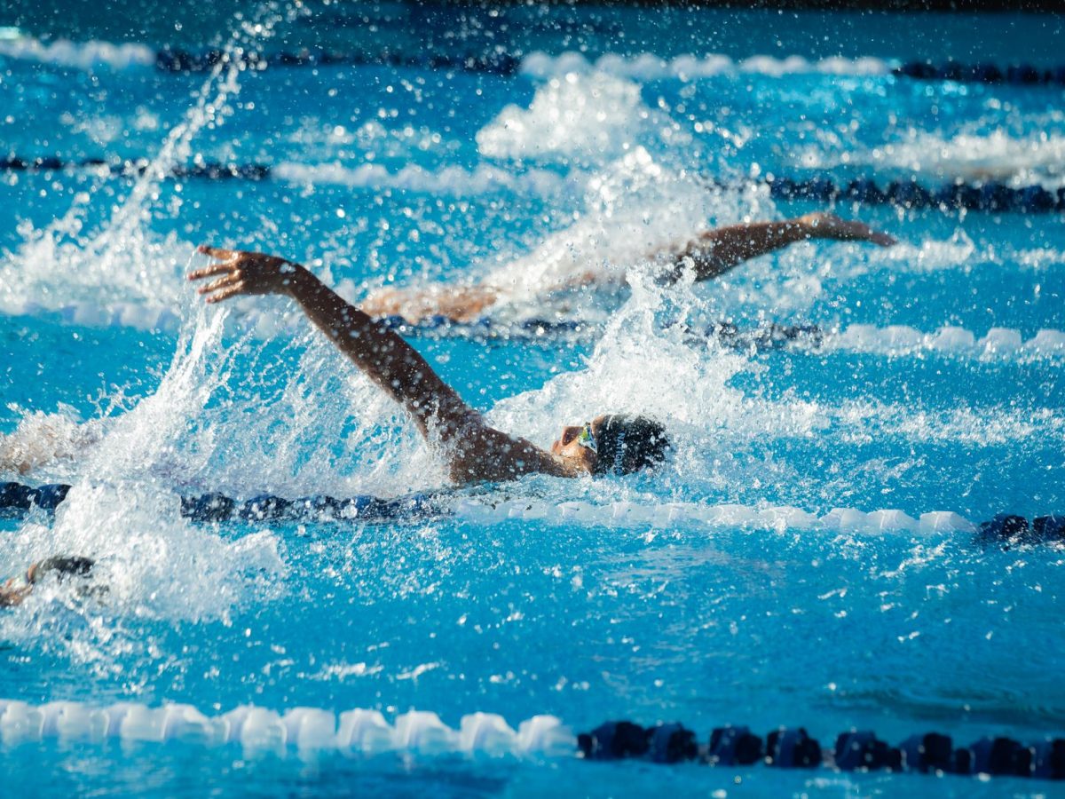 Fermeture de la piscine d&rsquo;Angers : quelles alternatives pour les usagers ?