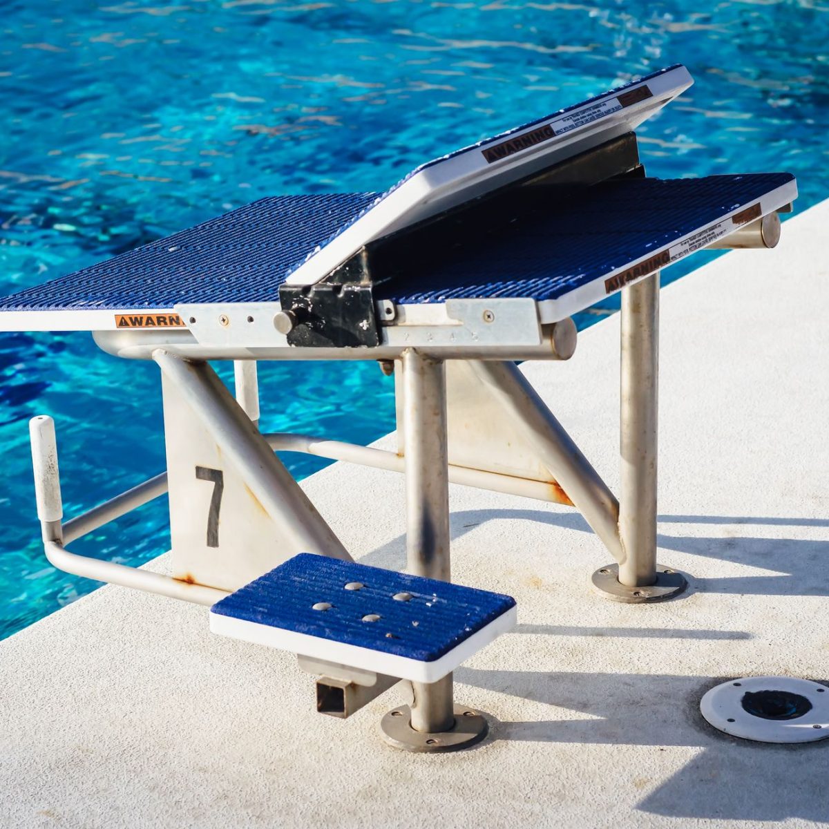 Espace Dauphins : Découvrez les Nouveaux Services et Équipements qui Vont Révolutionner Votre Expérience Aquatique