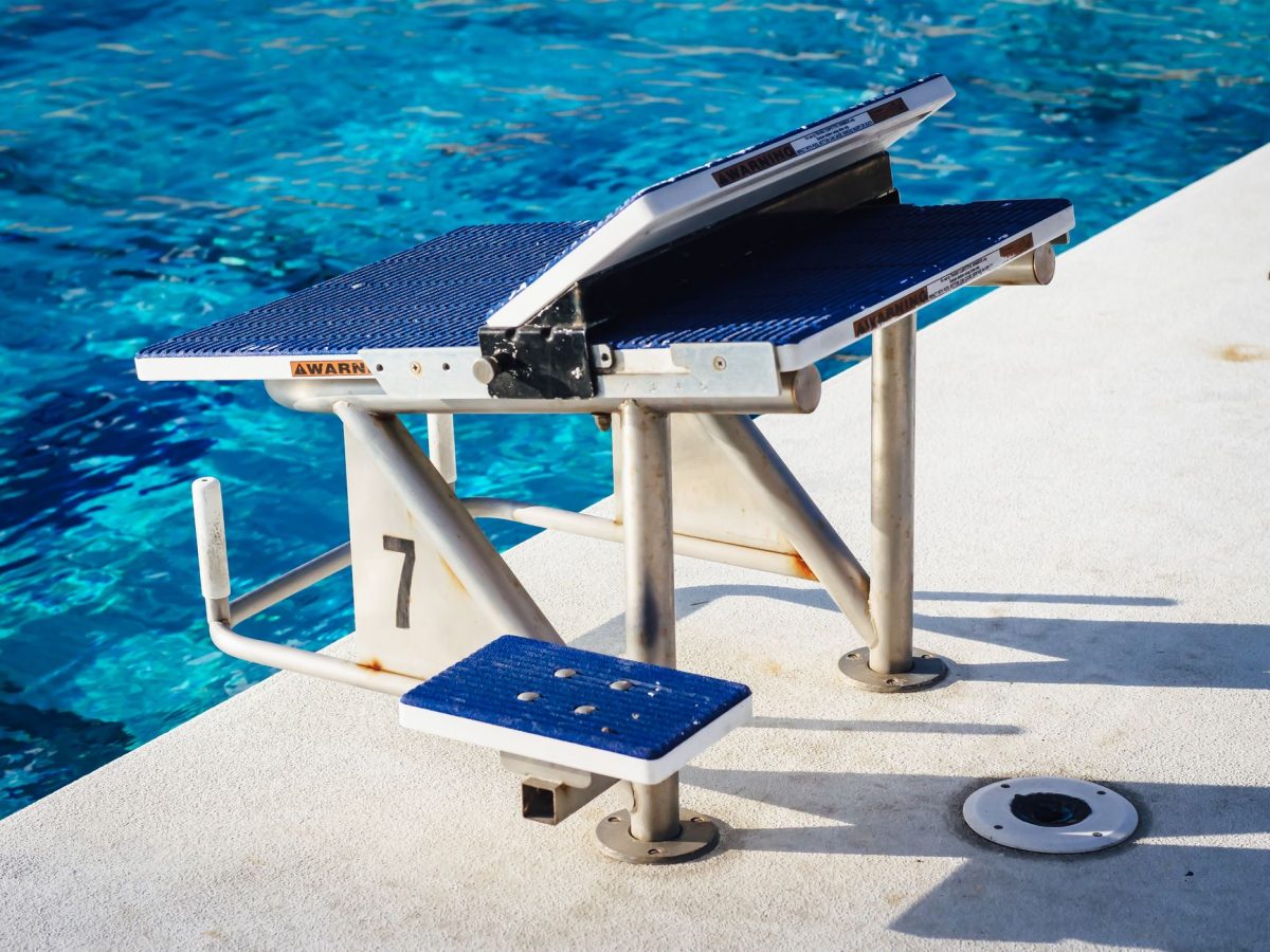 Espace Dauphins : Découvrez les Nouveaux Services et Équipements qui Vont Révolutionner Votre Expérience Aquatique