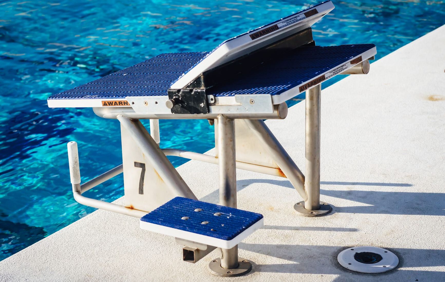 Espace Dauphins : Découvrez les Nouveaux Services et Équipements qui Vont Révolutionner Votre Expérience Aquatique