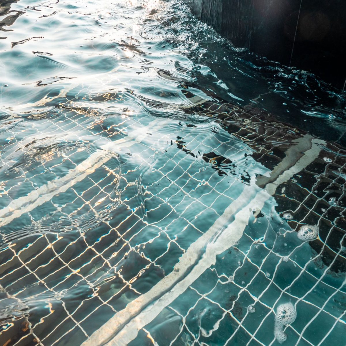 Fermeture de la piscine Camille Muffat : un risque sous-estimé pour les usagers